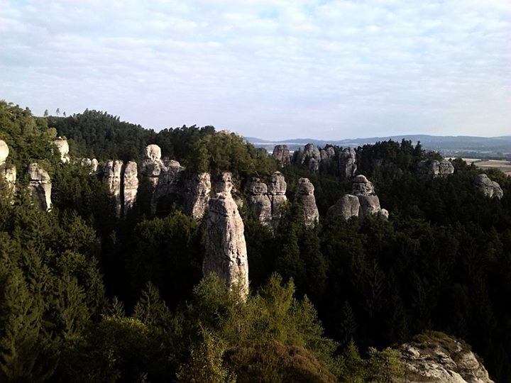Společný výběh 2.3.2014 017